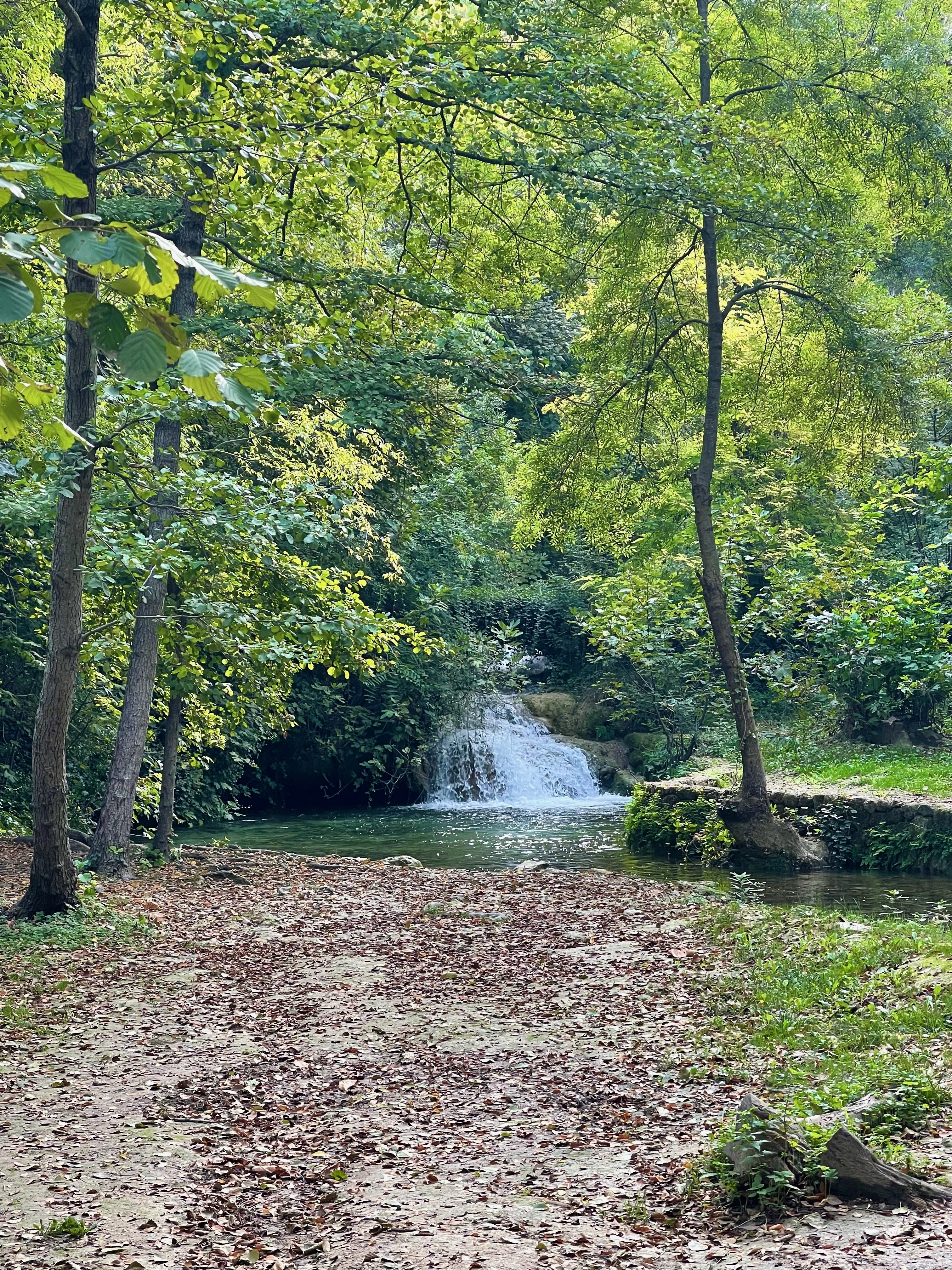 Small cascade on the Skradinski Buk boardwalk loop