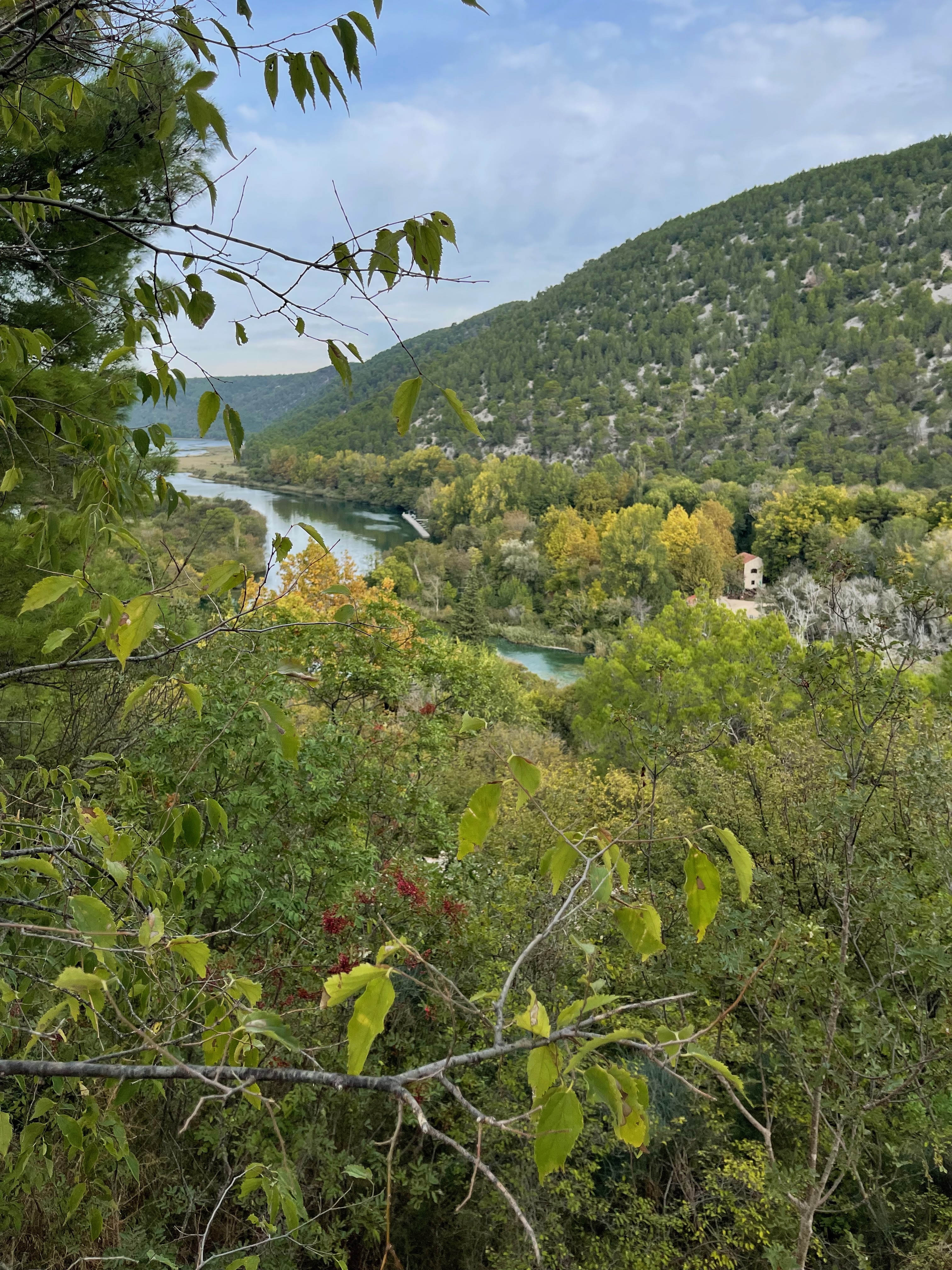 Krka River canyon and autumn trees above Skradinski Buk