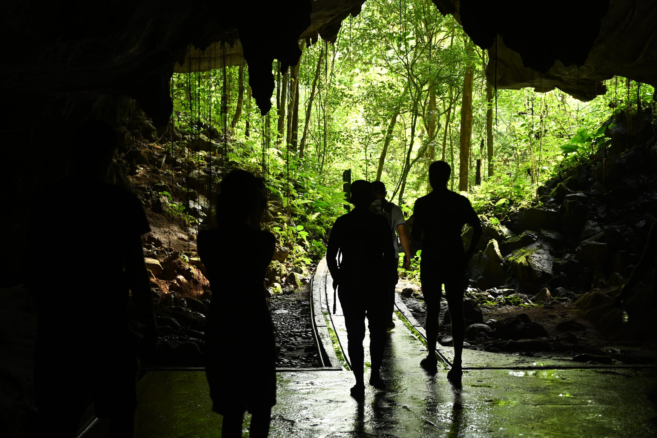 Silhouettes of walkers at the mouth of Deer Cave in Gunung Mulu