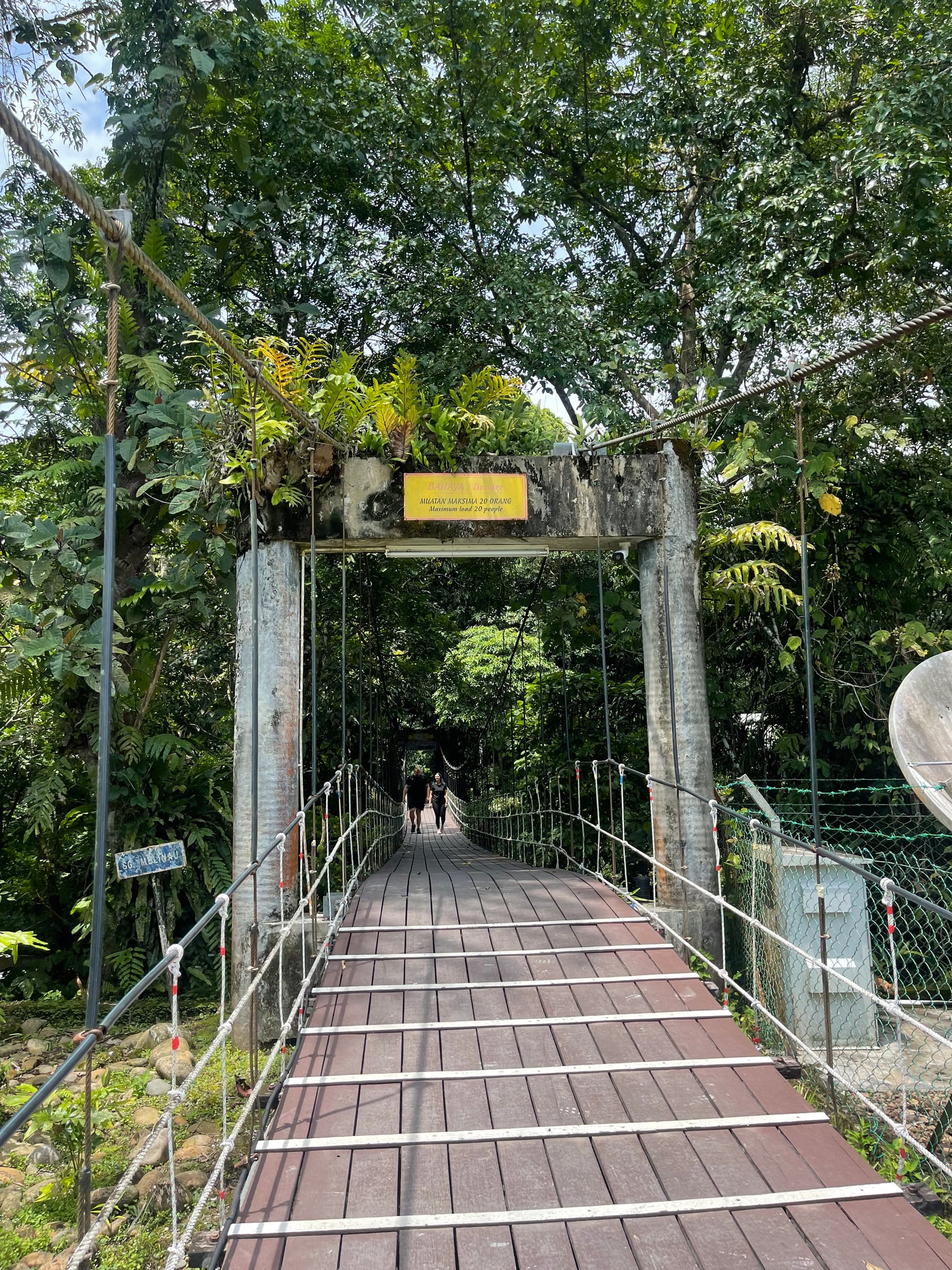 Boardwalk leading into the rainforest at Gunung Mulu