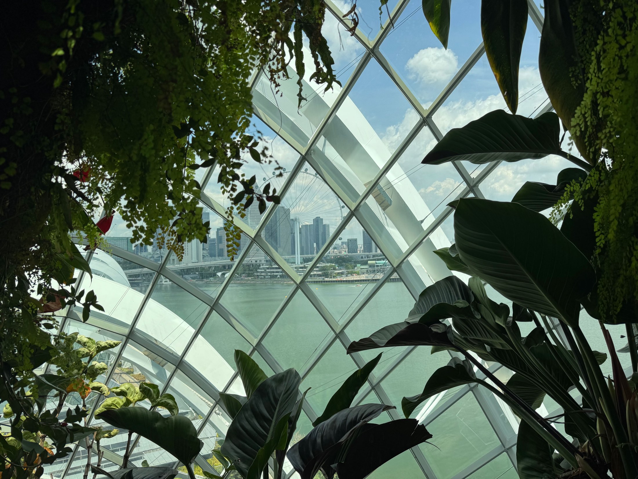 Marina Bay seen through the glass inside Cloud Forest